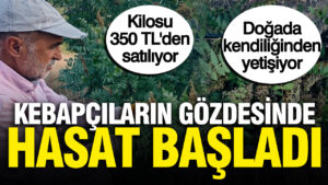 haber-gorseli-1786450471695